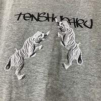 Tシャツアップ