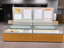 展示風景