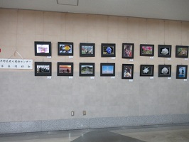 写真の展示風景