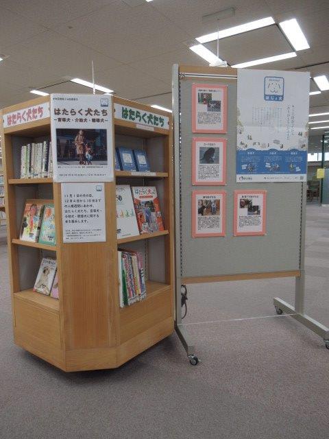 はたらく犬たち図書展示風景写真