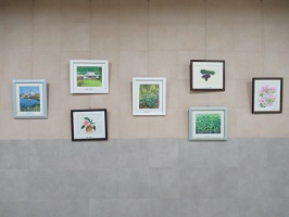 壁面の展示