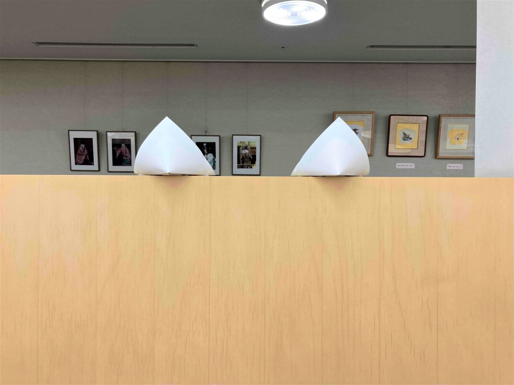 展示の様子