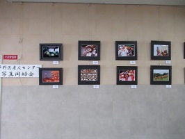 展示の写真