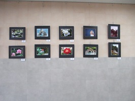 展示の写真