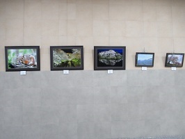 壁面向かって右側の展示