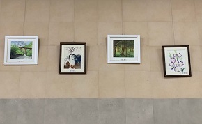 展示風景の写真