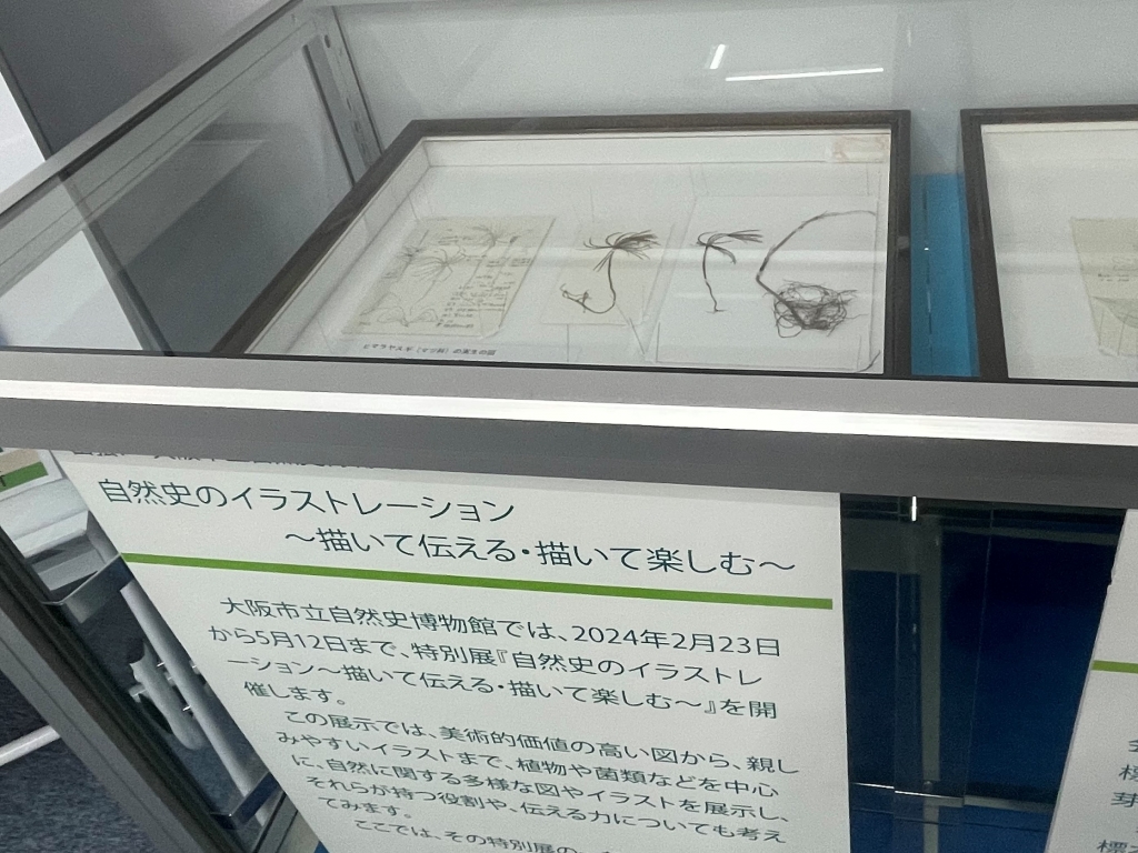 出張！自然史博物館展示風景写真