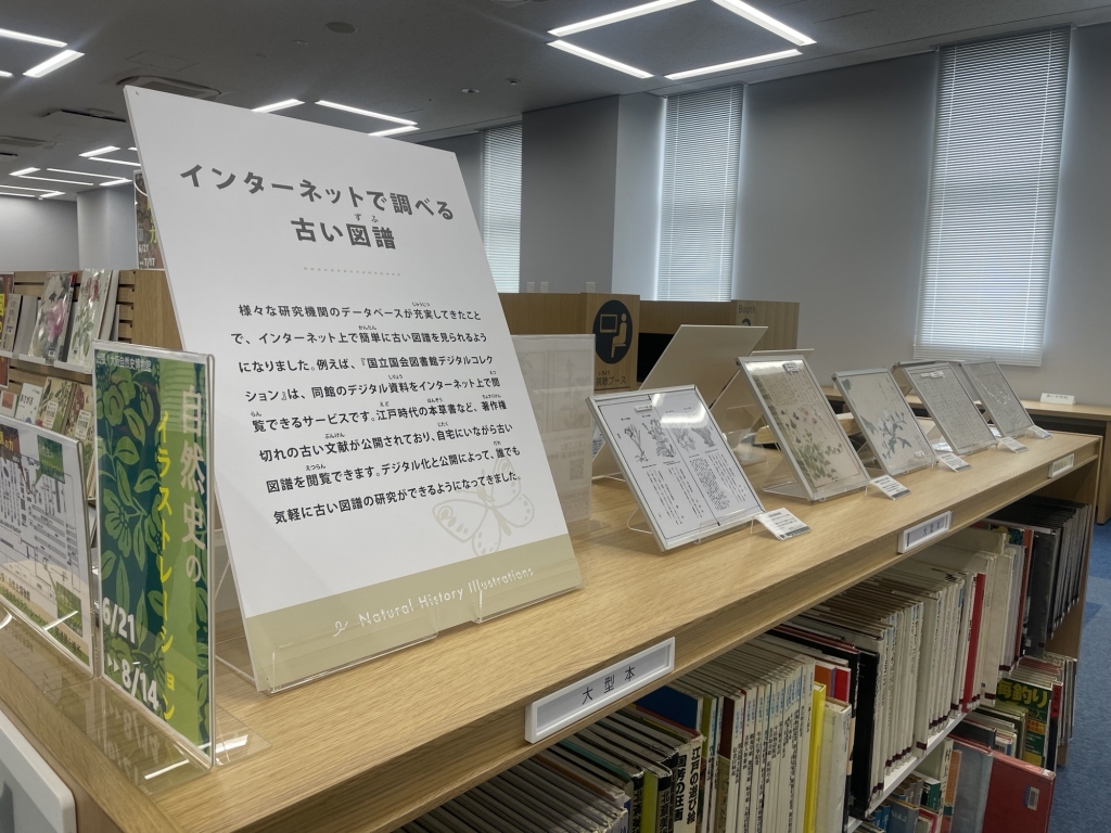 出張！自然史博物館展示風景写真