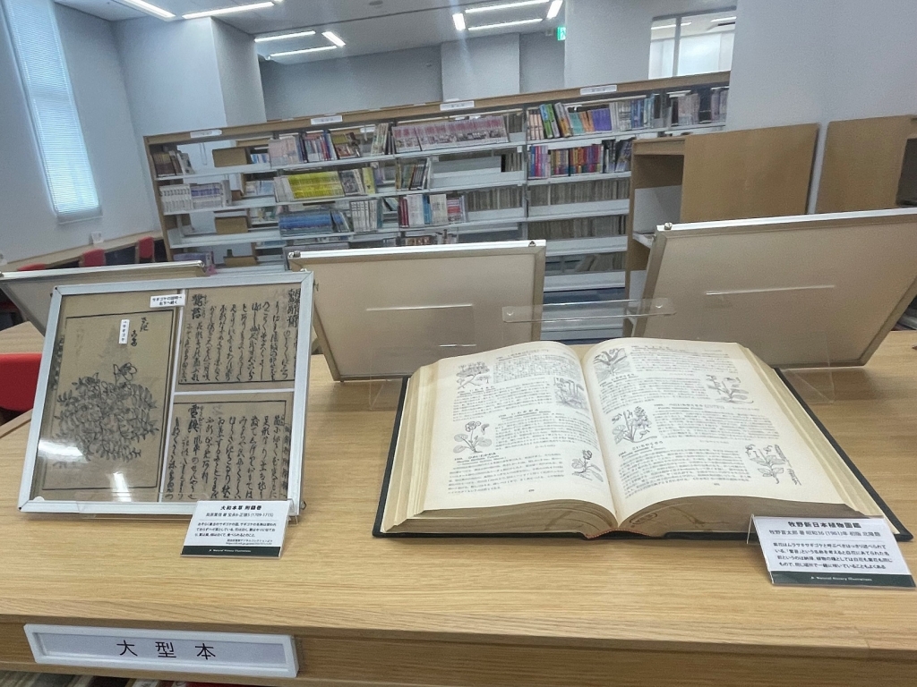 出張！自然史博物館展示風景写真