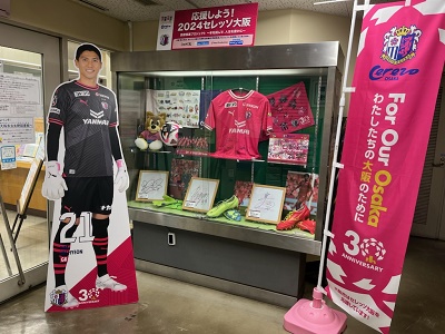 展示風景