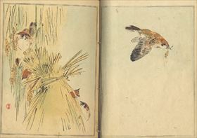 省亭花鳥画譜 (19コマ目)