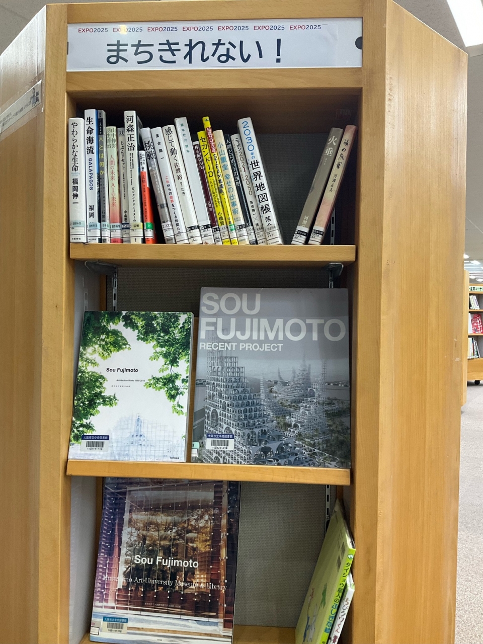 展示画像