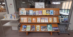 展示の様子