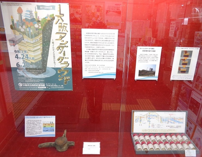 クジラ化石とボーリング標本展示写真