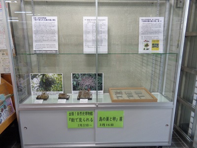 展示の写真