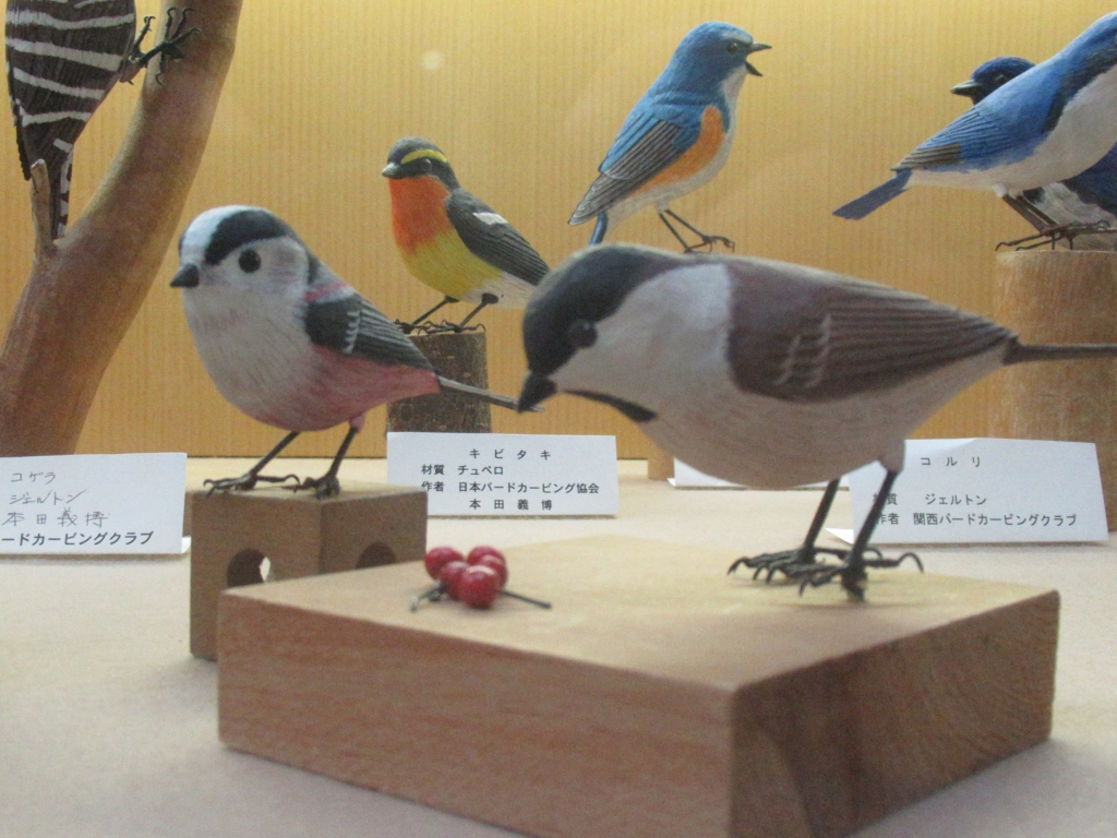 ヒガラ・キビタキ・コルリなど
