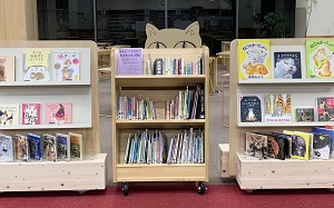 展示書架の写真