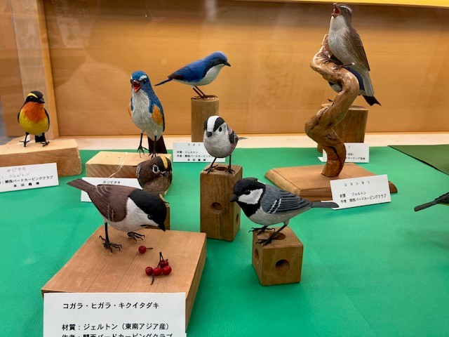 展示の写真1