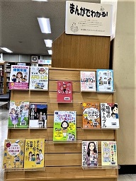 展示の様子