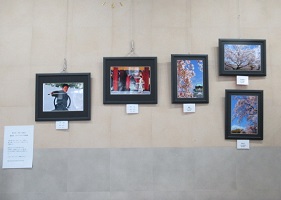 壁面正面に展示した写真