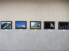 壁面に展示した写真