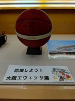 エヴェッサ展3