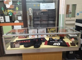 エヴェッサ展示写真