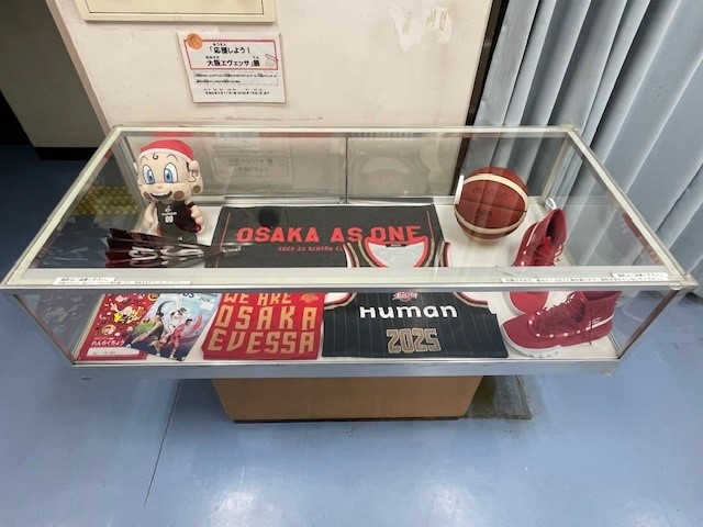 エヴェッサ展示写真