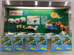クラルテ壁面展示