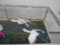 展示ケース右側