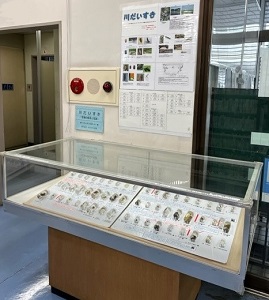 展示風景