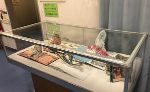 展示風景写真
