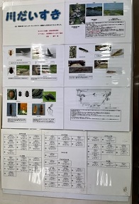 展示写真