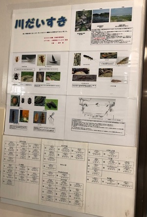 展示風景