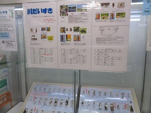 ケース展示川だいすき