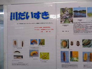 ケース展示川だいすき3
