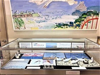 展示の様子