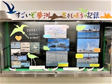 展示の様子