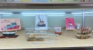 展示ケース横型