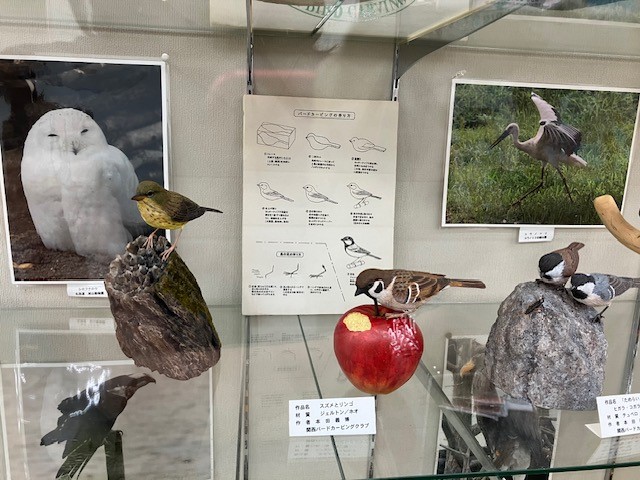 展示の写真4