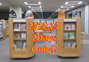 展示書架の写真