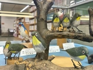 展示写真
