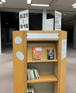 展示の様子