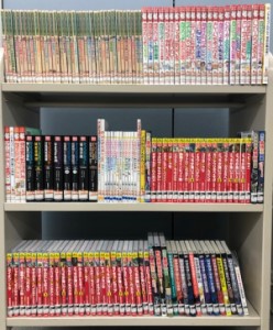 全体写真