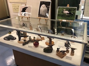 展示風景