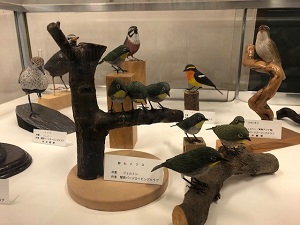 展示風景