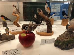 展示風景