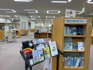 夏のお天気に気をつけて！展示写真