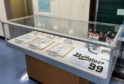 展示風景