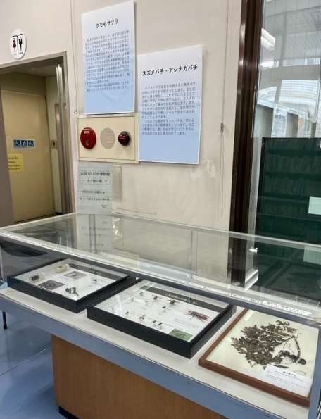 展示風景